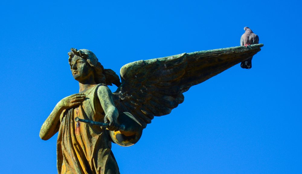 Photograph by Михаил Магид