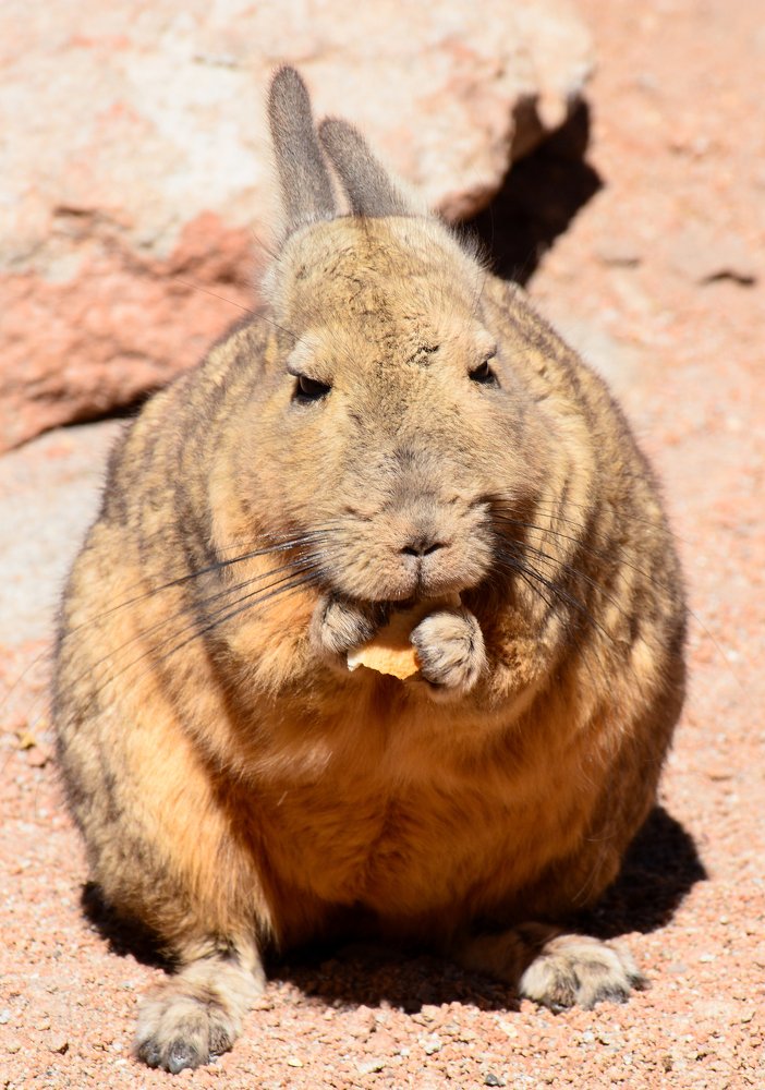 Photograph by Михаил Магид