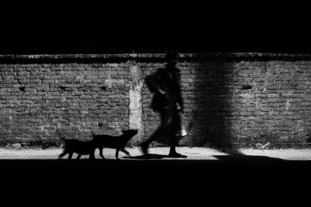 Photograph by Akib Amjad