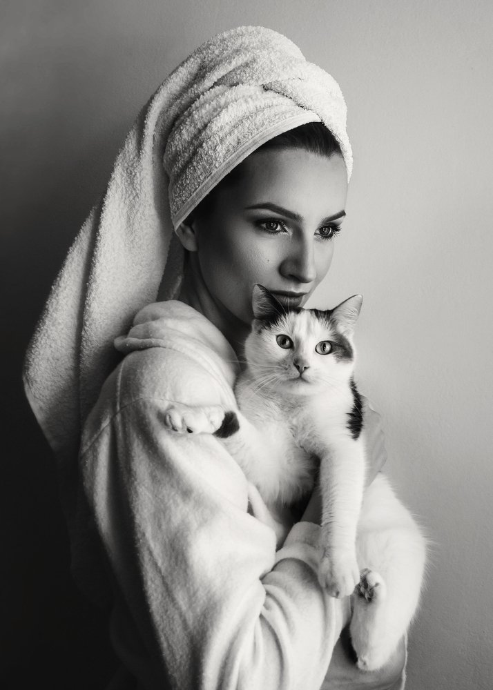 Мачка и њена лејди