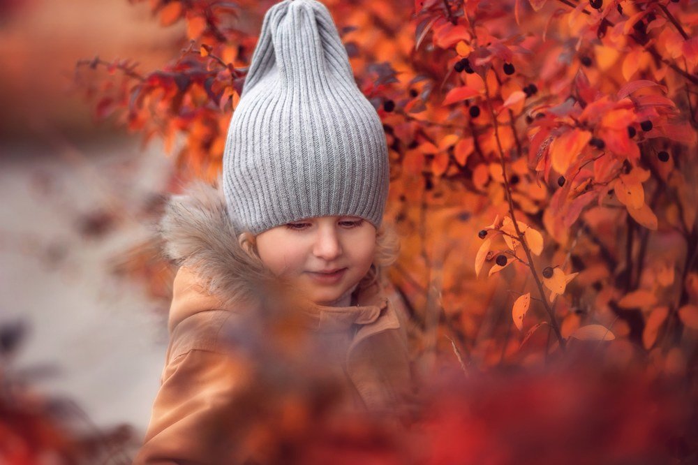 Фотография автора Елена Баклач