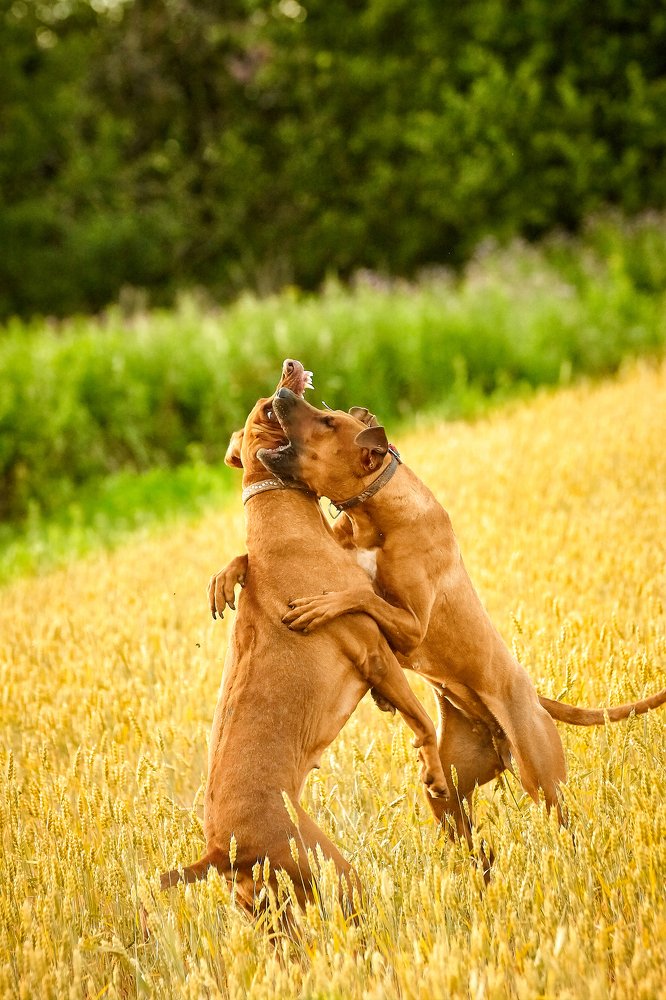 Photograph by Николай Куликов