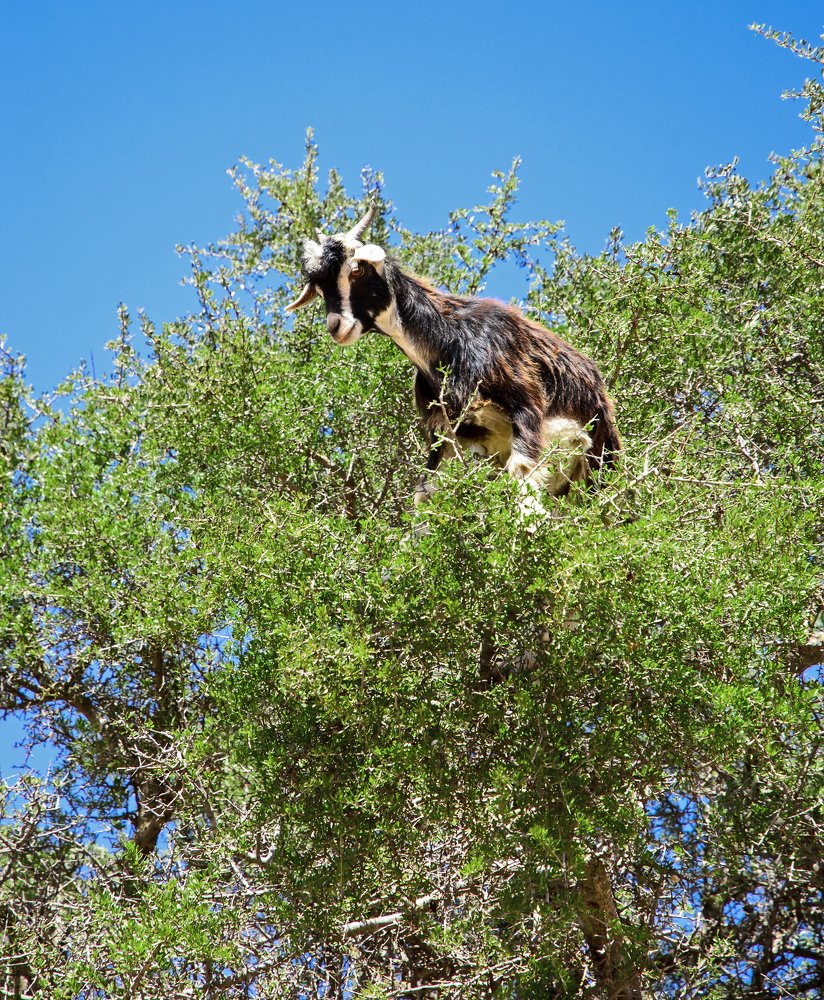 Photograph by Дмитрий Петренко