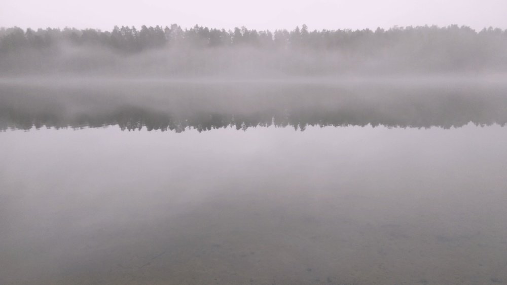 Photograph by Ирина Корнева