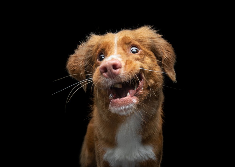 Photograph by Анна Аверьянова