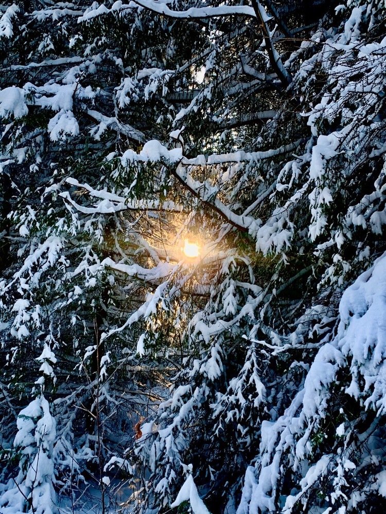 Photograph by Светлана Хохлова