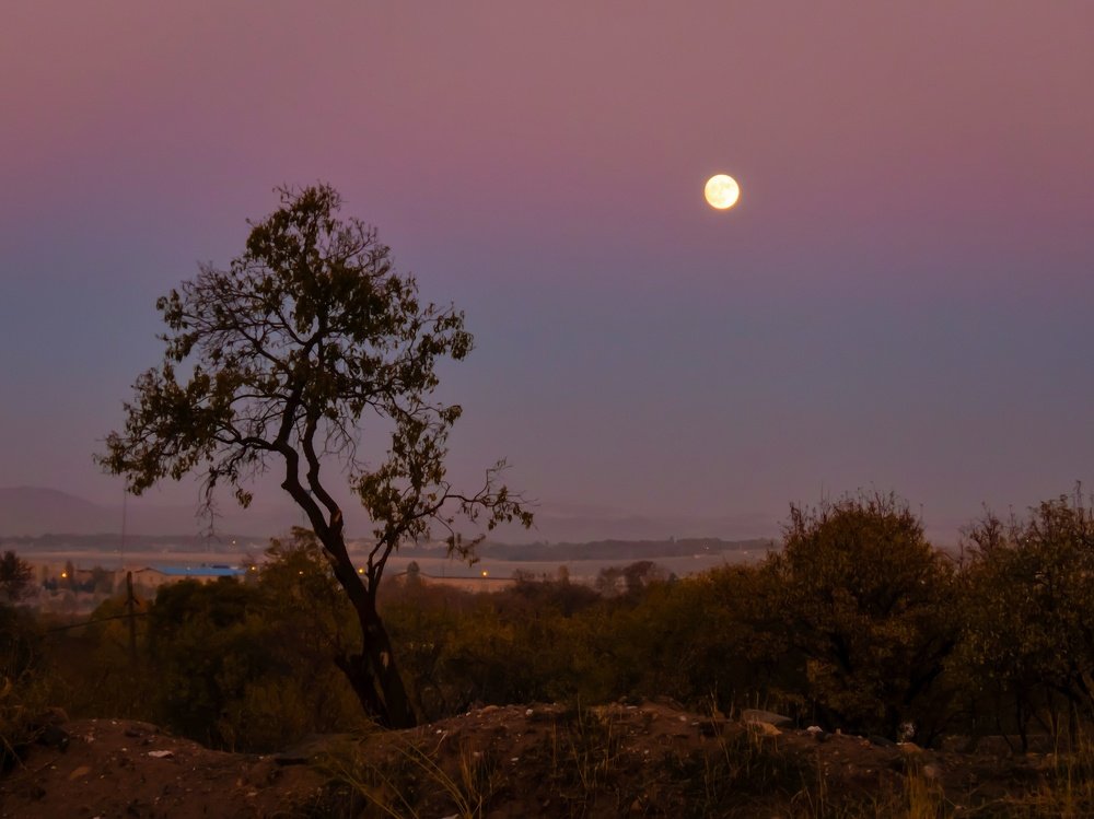 Photograph by Bahrami Ashkan