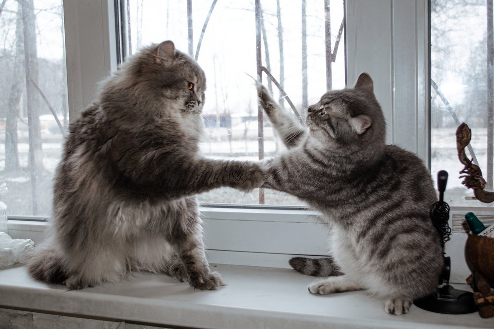 Photograph by Наталья Золотарева