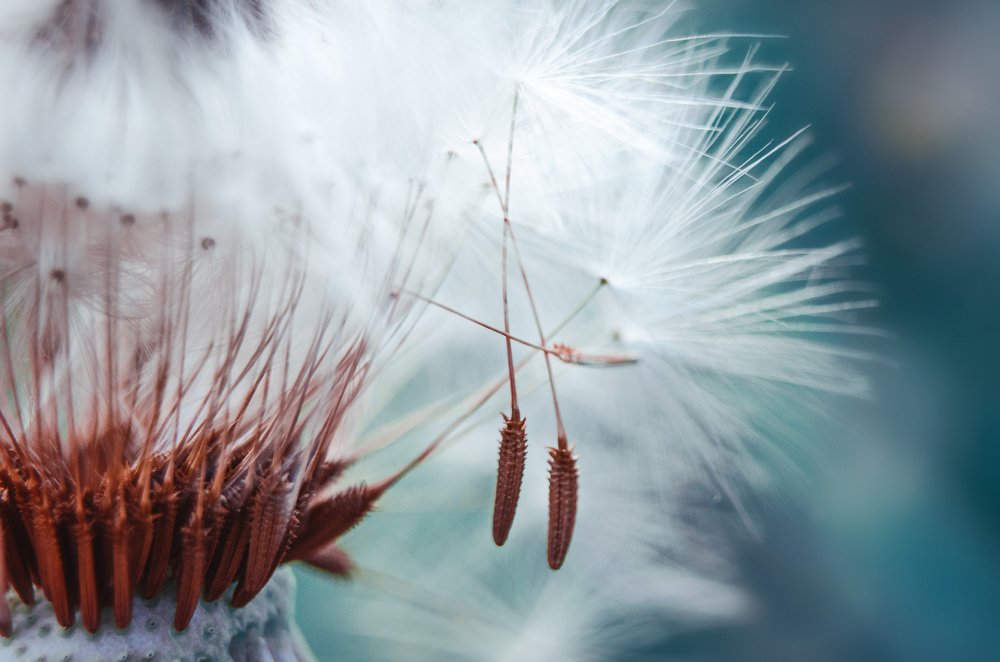 Photograph by Наталья Золотарева