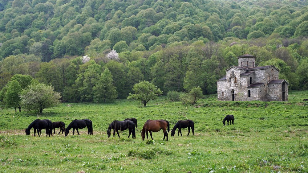 Photograph by Ольга Стоун