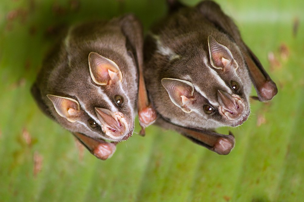 Photograph by Azaria Ruiz Villalobos