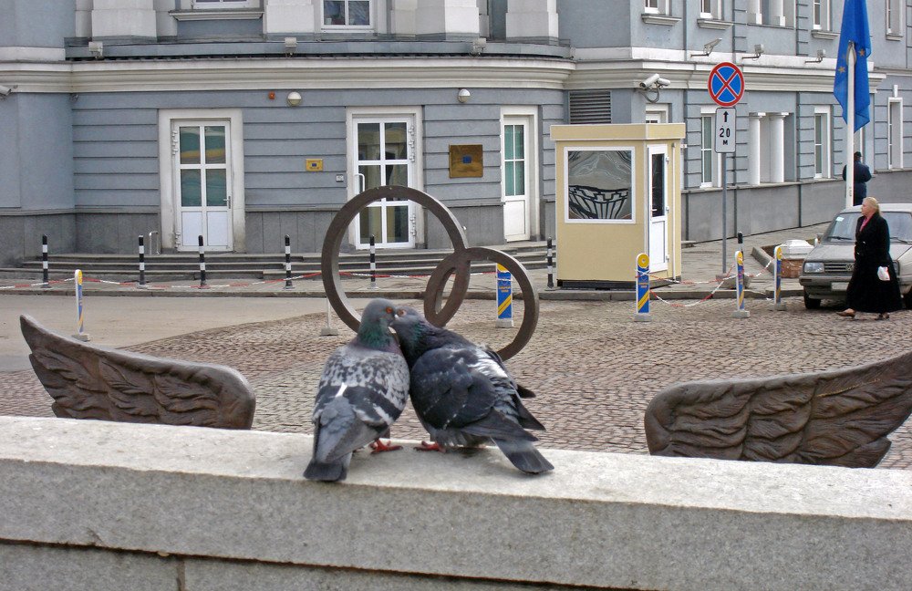 Photo #3897518