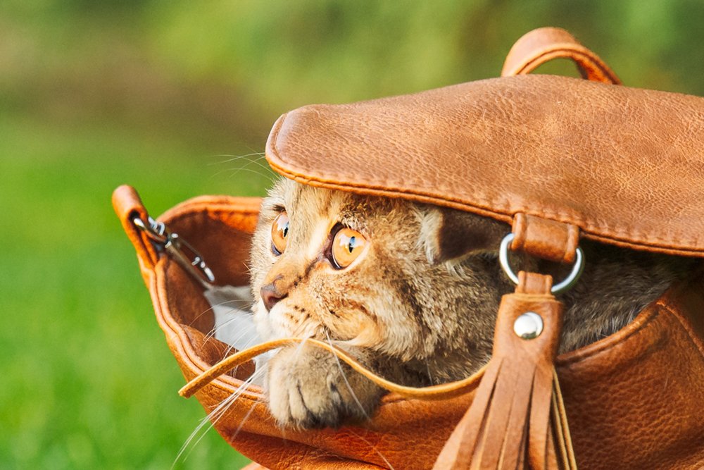 Photograph by Анастасия Мельник