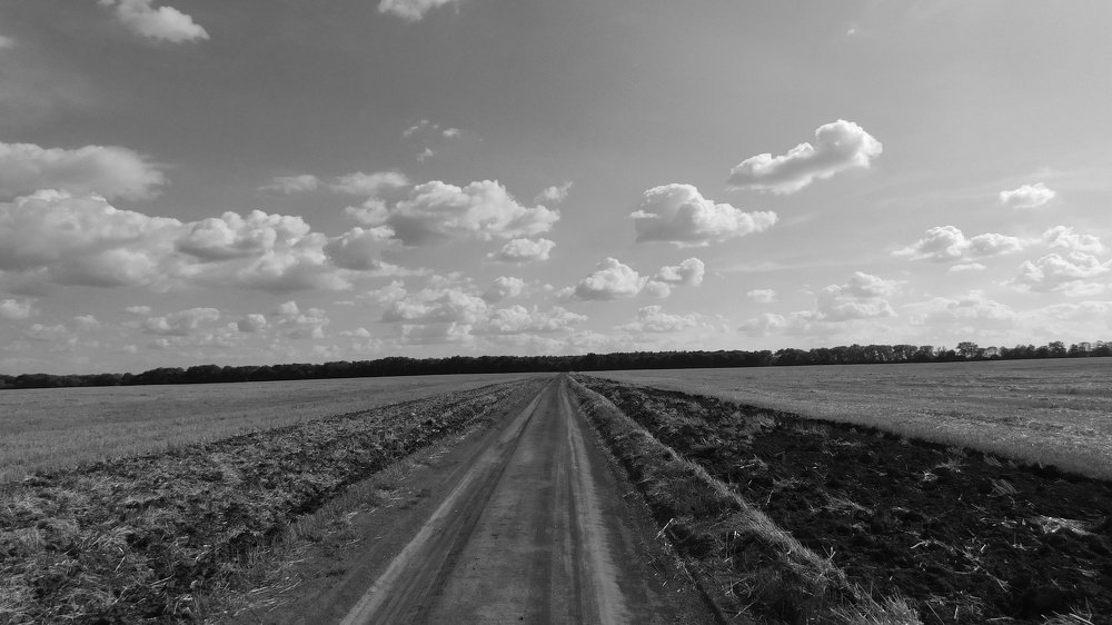 Дорога в поле!