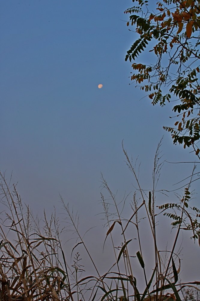 Photograph by Николай Немчанинов