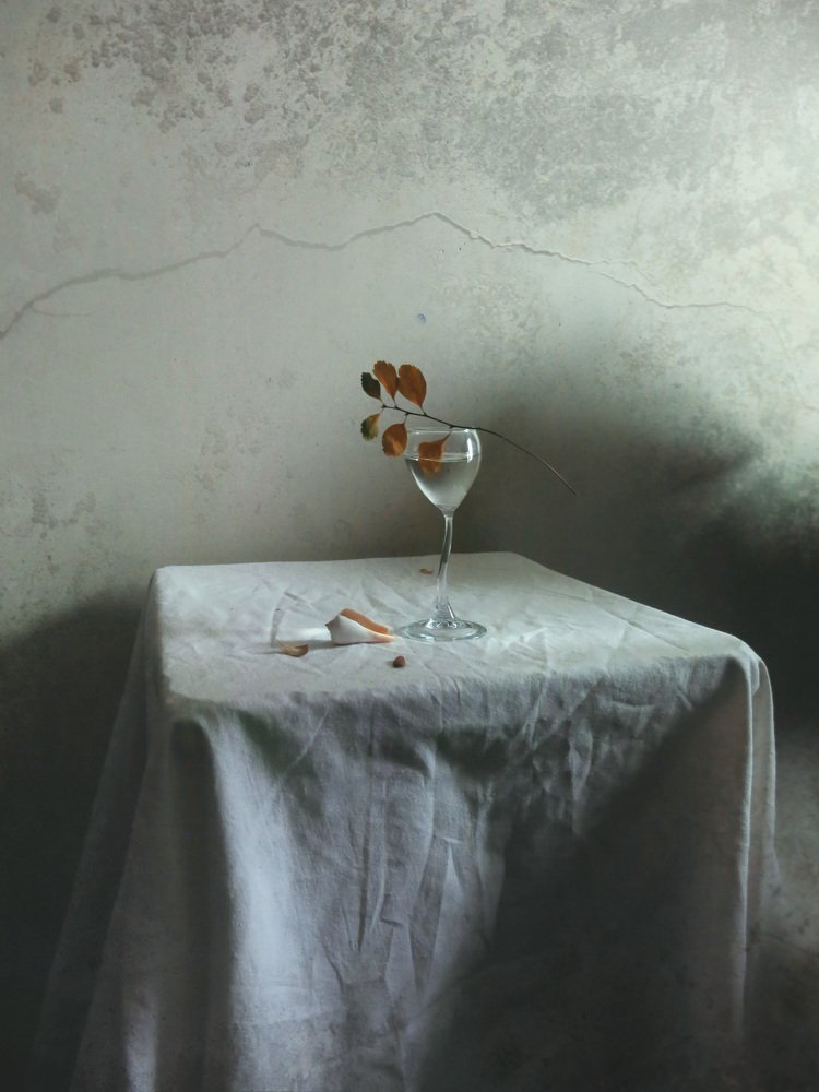 Фотография автора Елена Лысенко