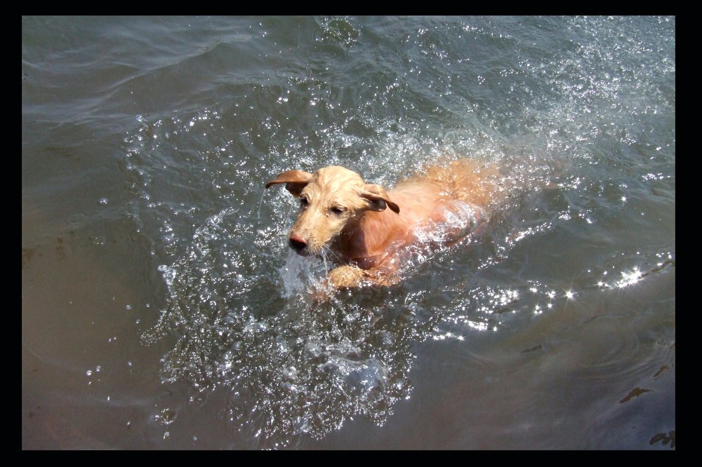 Photograph by DILIP BHALERAO