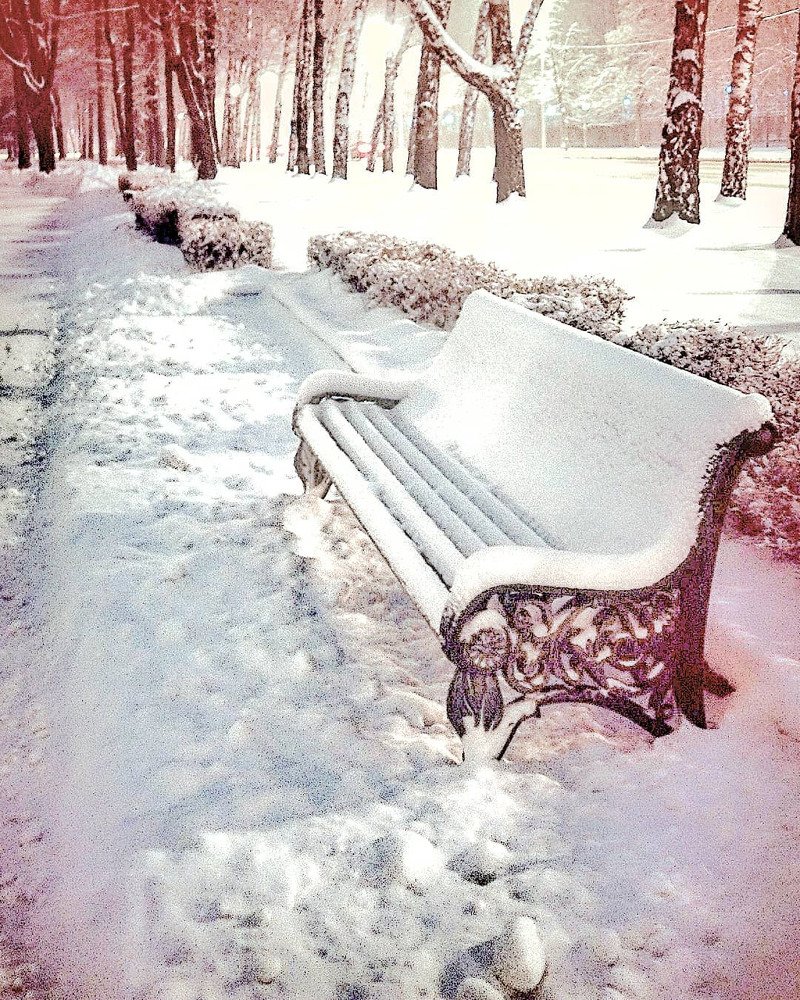 Снежная аллея.