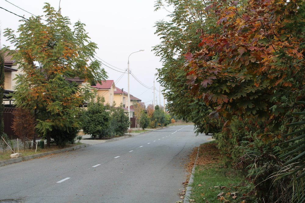 Photograph by Николай Немчанинов