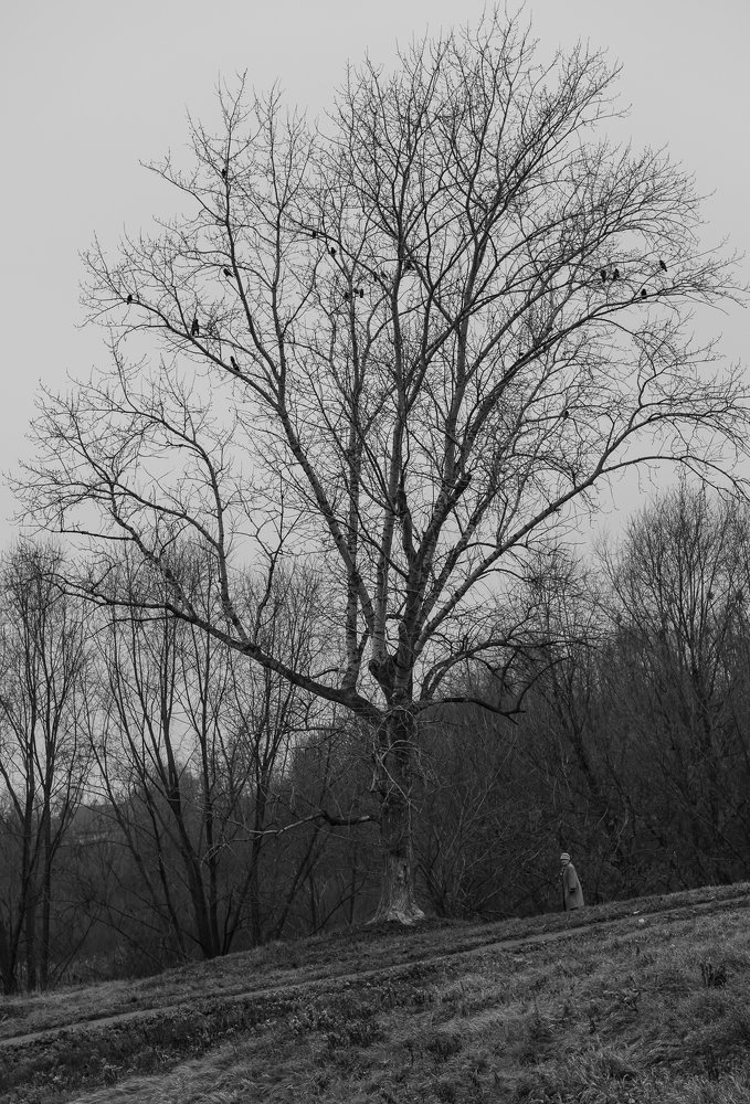 Photograph by Юрий Маслов