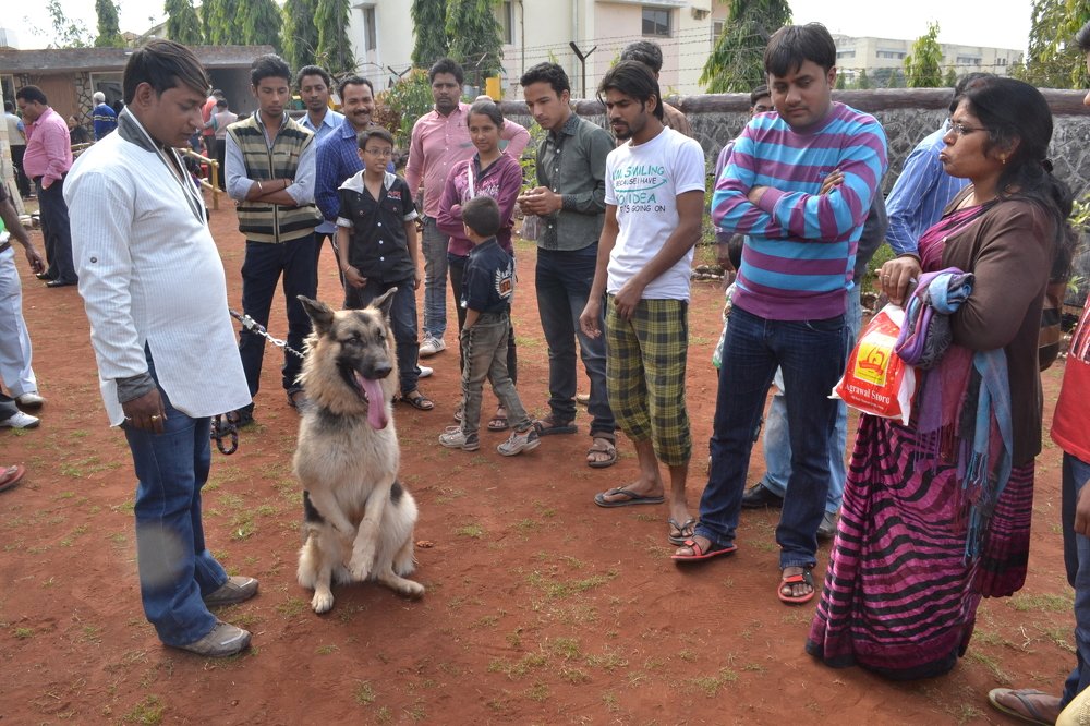 Photograph by DILIP BHALERAO