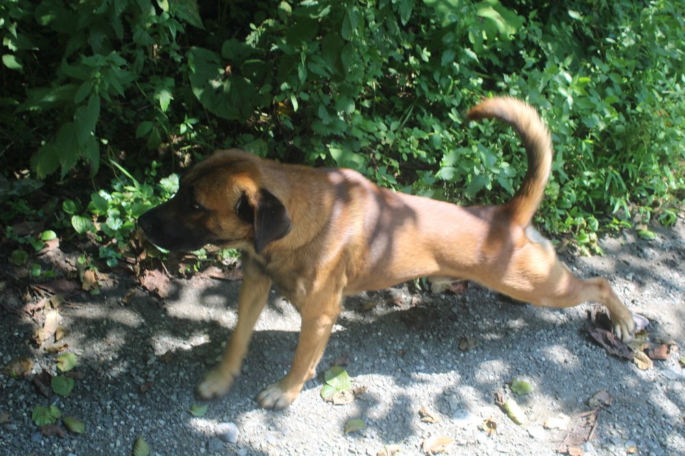 Photograph by Николай Немчанинов