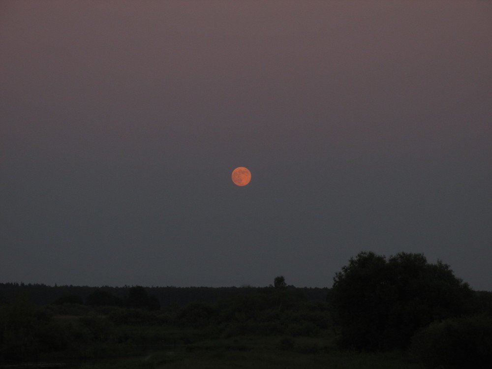 Photograph by Ирина Гаража
