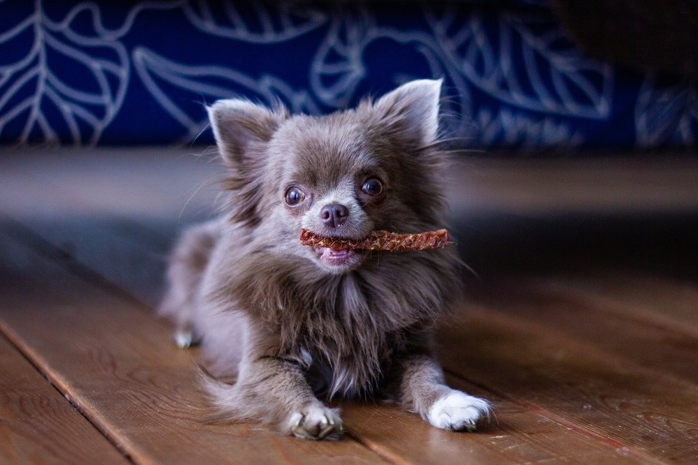 Photograph by Александр Дарсн