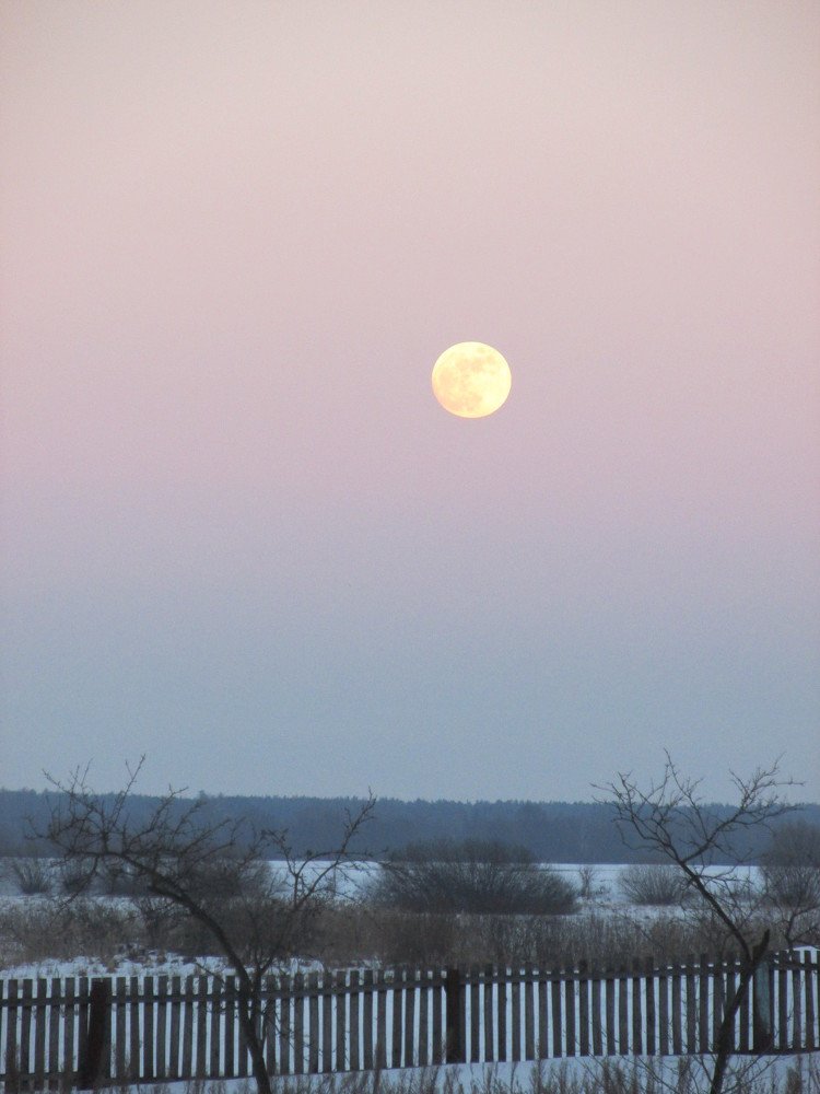 Photograph by Ирина Гаража