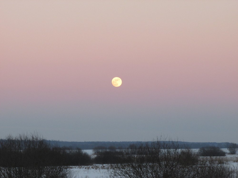 Photograph by Ирина Гаража