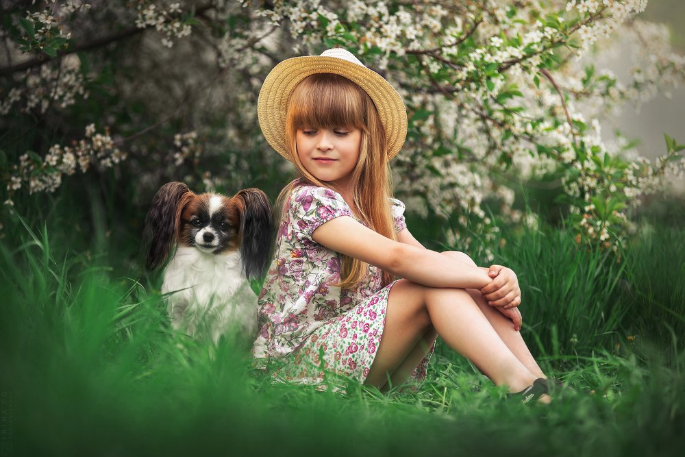 Фотография автора PO IRINA