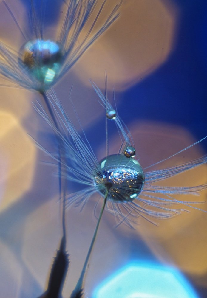 Photograph by Ольга Линк