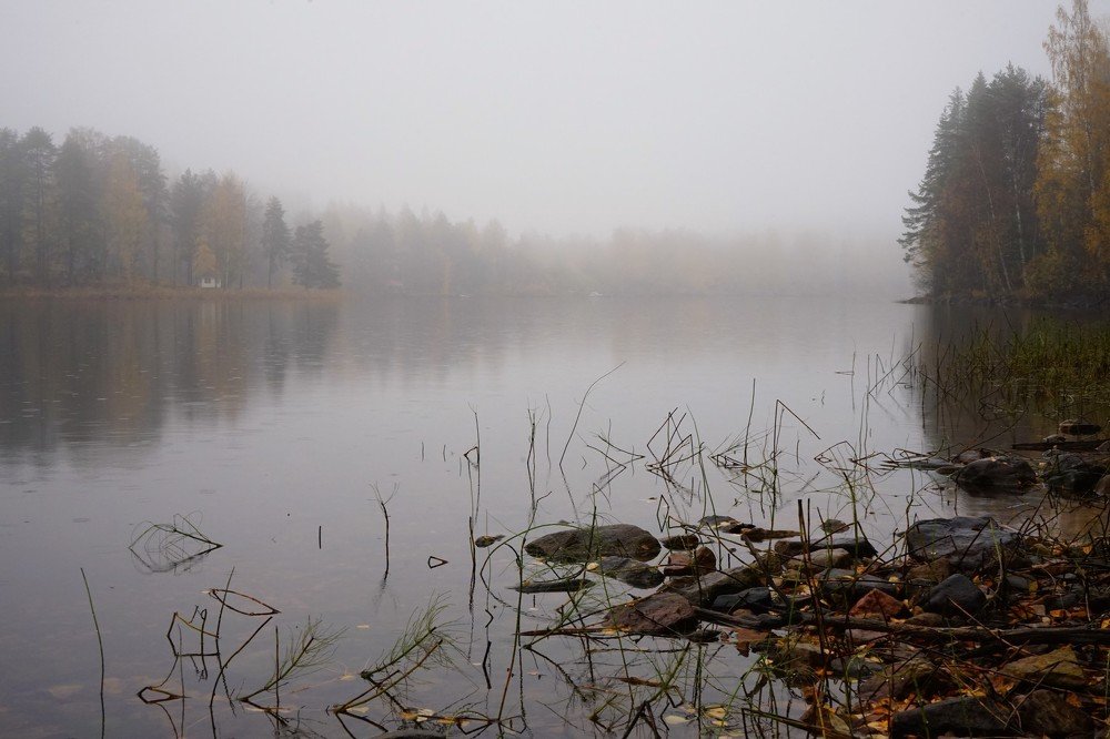 Photograph by Елена Шмарловская