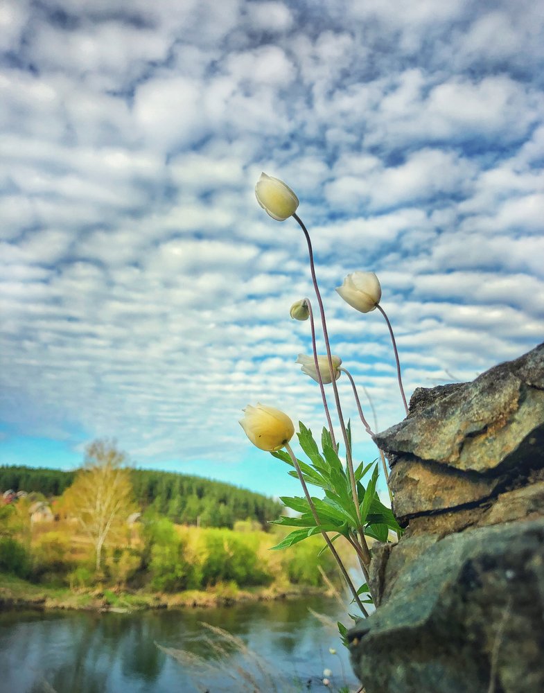 Photograph by Валентина Старикова