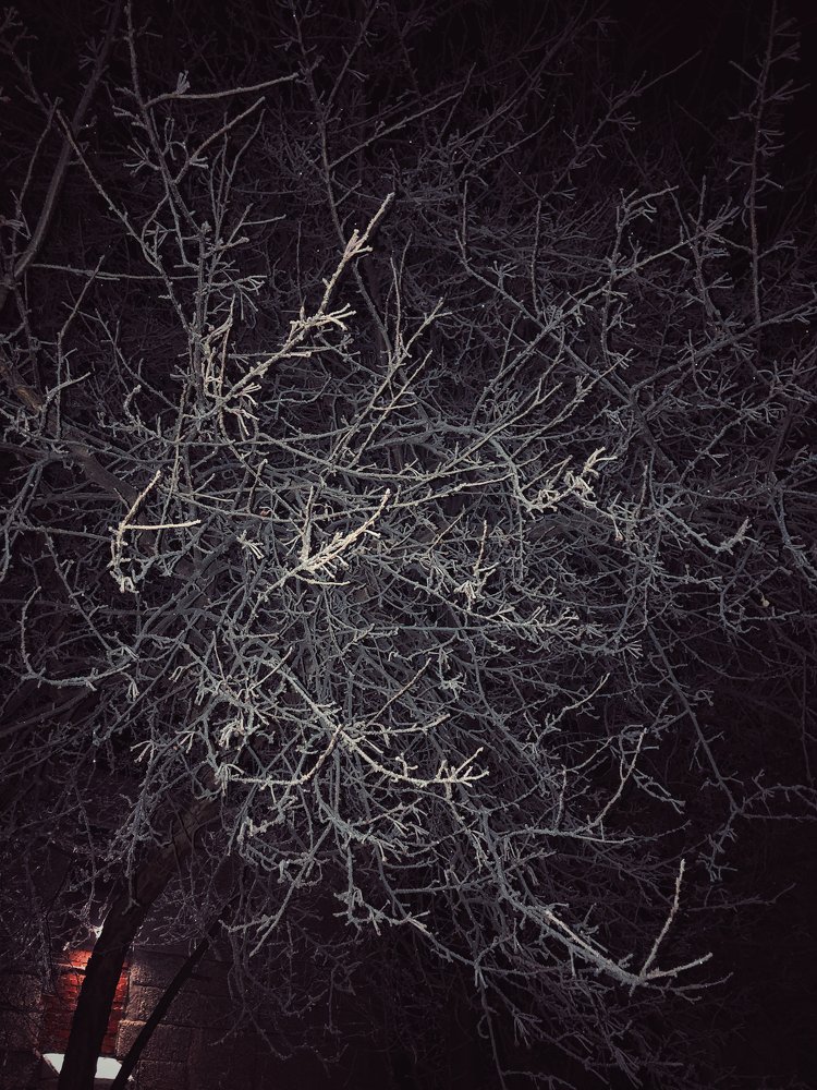 Photograph by Валентина Старикова