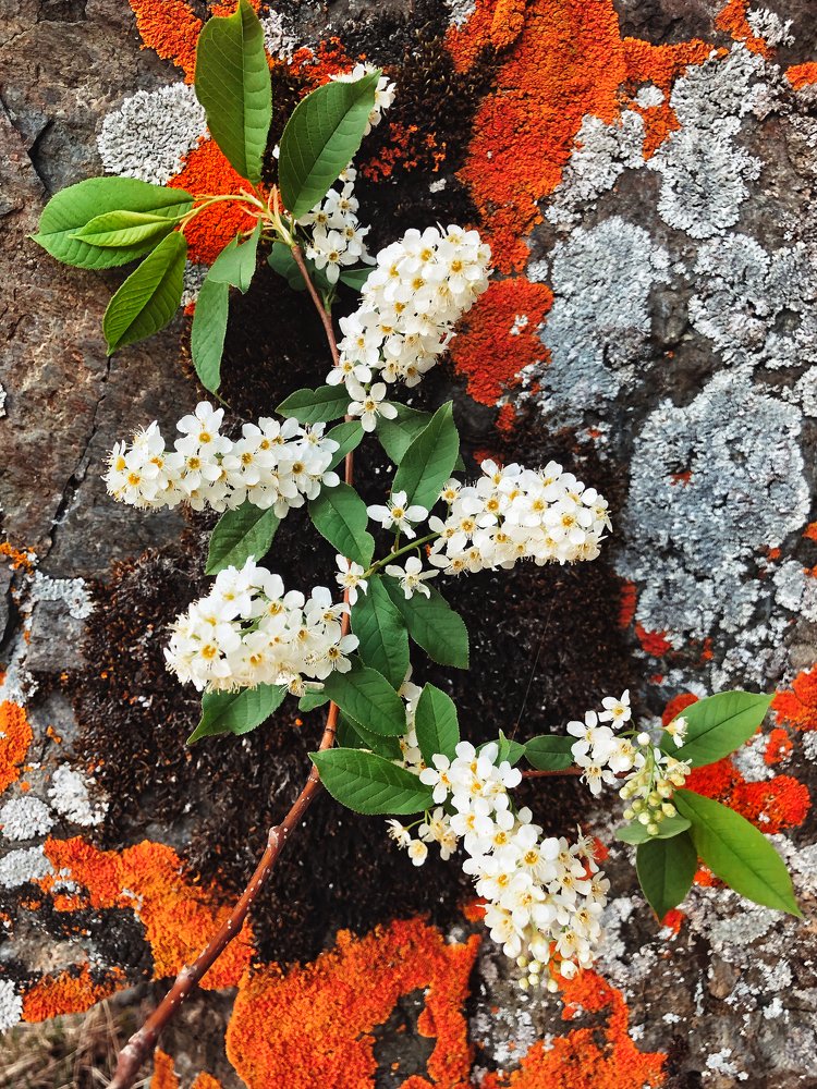 Photograph by Валентина Старикова