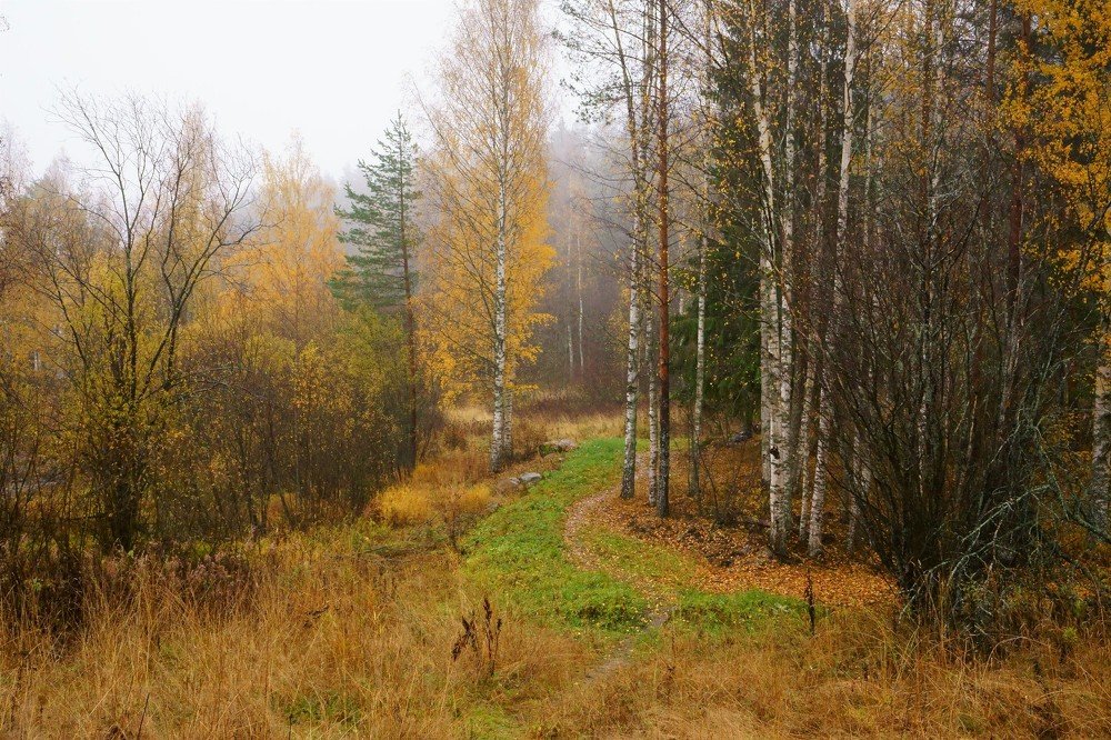 художница осень