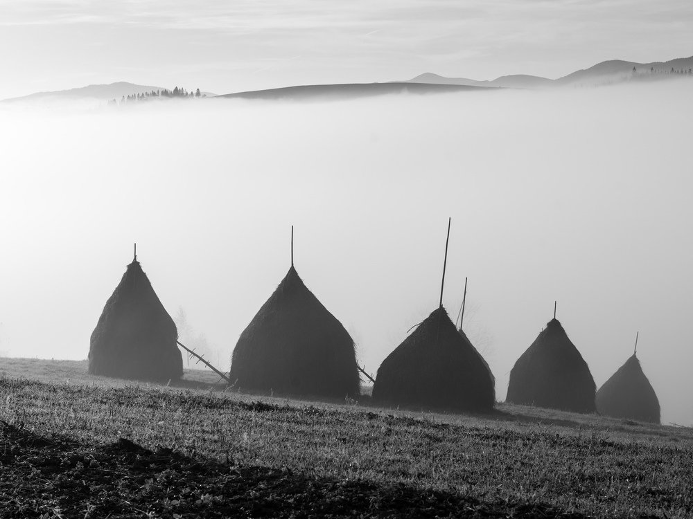 Photograph by Крицак Ольга