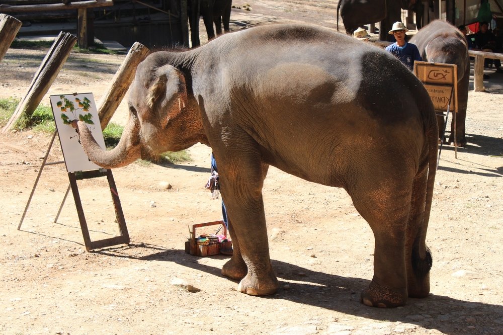 Вдохновение