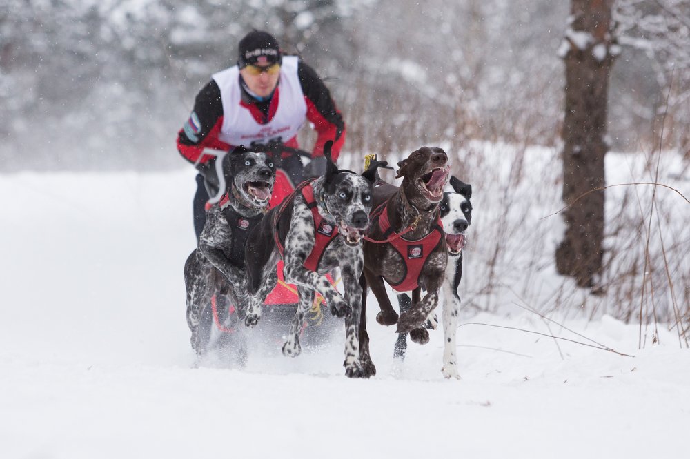 Photograph by София Дудова