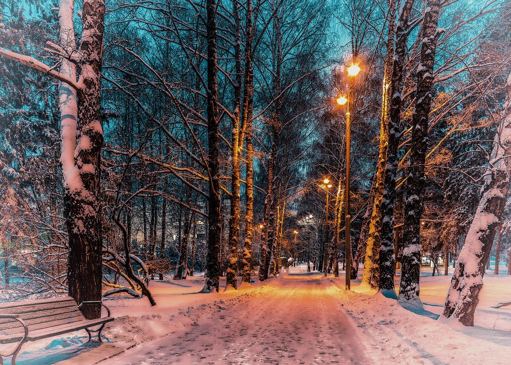 Photograph by Лариса Рулёва