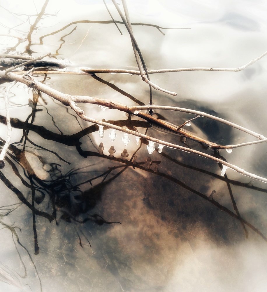 Photograph by Людмила М