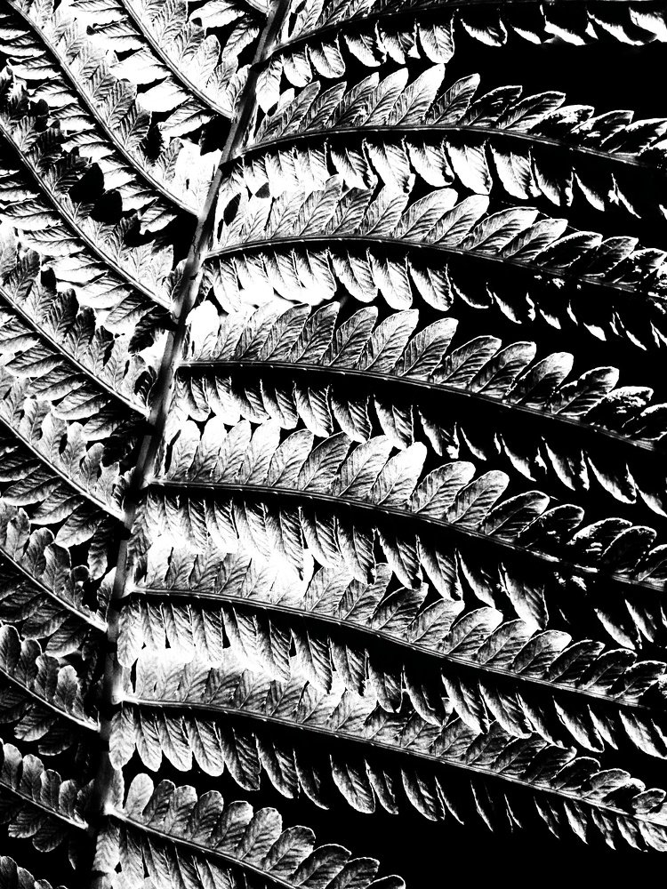 Photograph by Людмила М