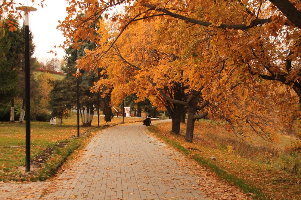 Photograph by Игорь Улитин