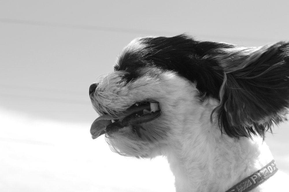 Photograph by Fidan Nazim qizi