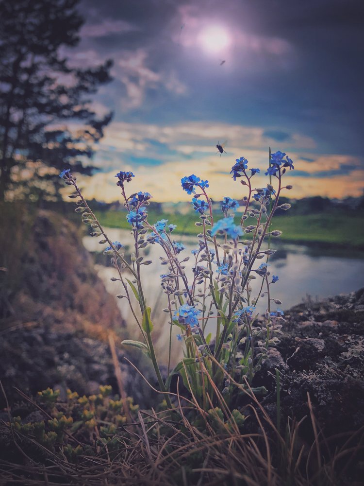 Photograph by Валентина Старикова