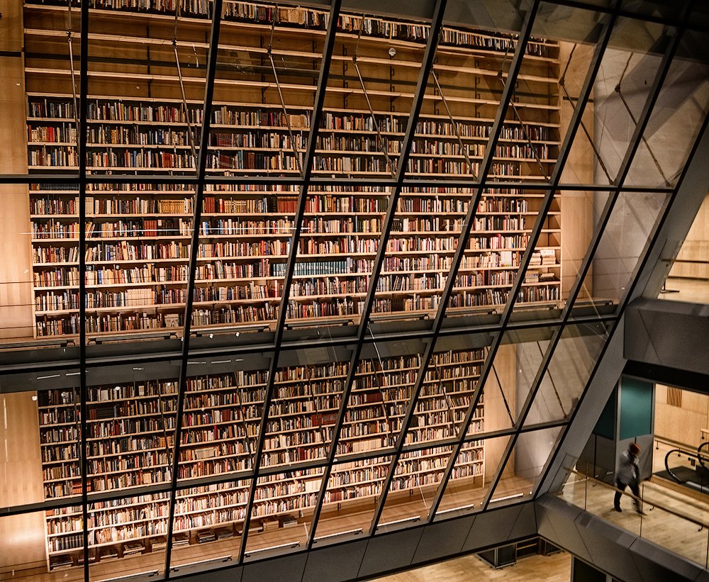 Книжный рай