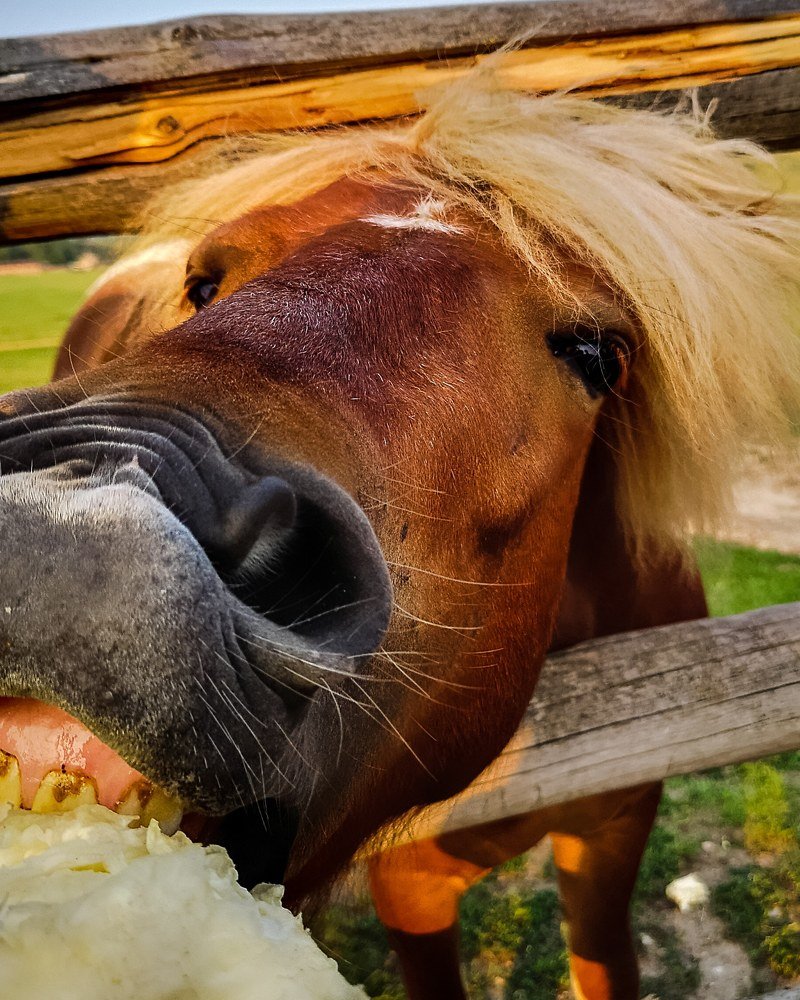 Photograph by Татьяна Чернышова