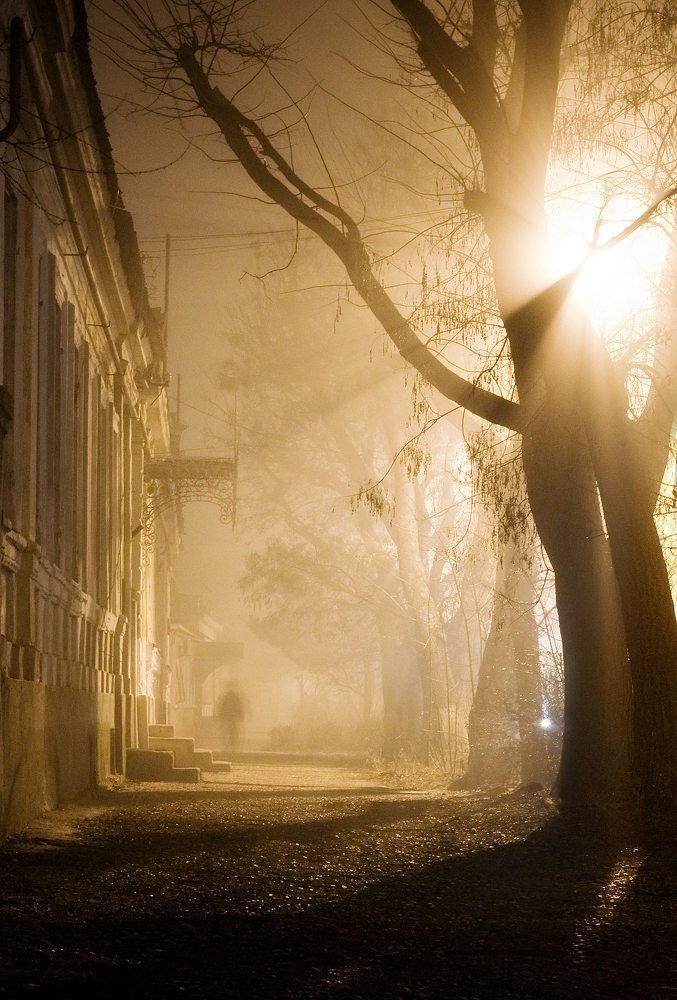 Photograph by Елена Покрепа