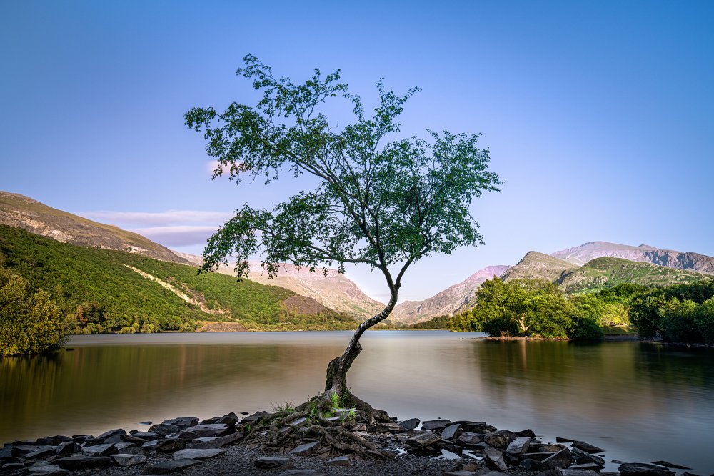 Photograph by Nerijus Siusa